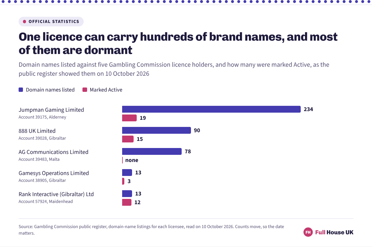 Paired bars for five licence holders showing domain names listed against each and how many were active: 234 against 19, 90 against 15, 78 against none, 13 against 3, and 13 against 12.